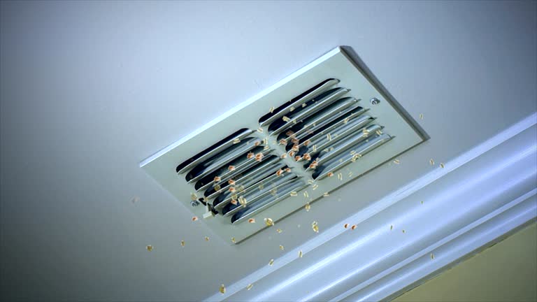 Best Local Air Duct Cleaning Services  in West Middlesex, PA